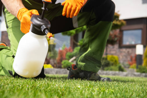 Best Flea Control Services  in Gallatin, TN