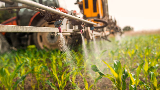 Best Wildlife Control Services  in Gallatin, TN